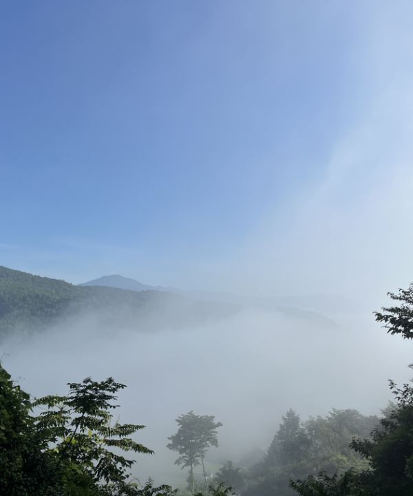 さめうら